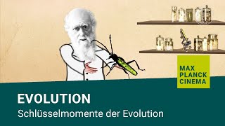 Evolution  Schlüsselmomente der Evolution [upl. by Laina]