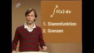 39 Das Integral  Telekolleg Mathematik [upl. by Santini546]