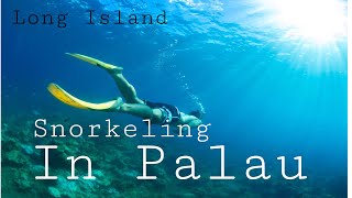 SNORKELING  LONG ISLAND PALAU [upl. by Chery934]