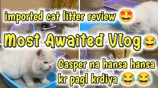 Most Awaited Vlog 🤣Casper na hansa hansa kr Pagal krdiya🤣 Best imported Cat litter in cheap price [upl. by Sussna]