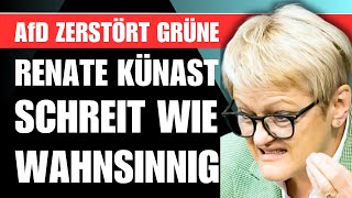 Renate Künast bekommt TOBSUCHTSANFALL 🚨 Stephan Brandner ZERLEGT die Grünen und der Saal TOBT [upl. by Ruhl]