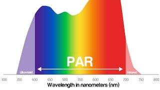 Photosynthetically Active Radiation PAR [upl. by Adranoel]