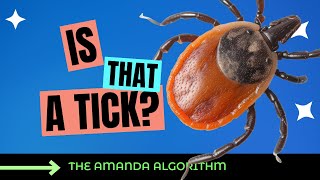 The Horrifying Reality of Ticks [upl. by Remas]