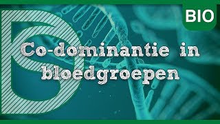 Examen biologie  Codominantie in bloedgroepen Erfelijkheid [upl. by Oribel]