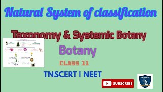 Natural System of Classification  Taxonomy and Systematic Botany I Botany I Class 11  NEET [upl. by Anitnerolf]