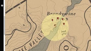 Red Dead Online Tesoro Salto de Brandywine  Brandywine Drop Treasure Map Location [upl. by Gambell]