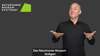 Das Naturkundemuseum Stuttgart in Deutscher Gebärdensprache [upl. by Bibah669]