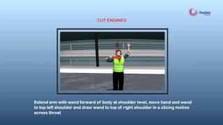 Aurion Learning  Headset And Marshalling Training Program [upl. by Elison]