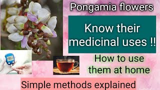 Pongamia flower medicinal uses  Karanja  How to use Pongamia pinnata for Diabetes and Piles [upl. by Anned521]