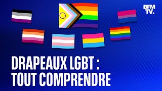 Marche des fiertés que signifient les différents drapeaux LGBT [upl. by Berta]