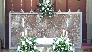 St Anthony of Padua Edgware  Live Stream [upl. by Nnagrom]