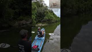 Smallmouth Bass on Crooked Creek  Kayak Fishing  Bonafide RVR 119  Nature [upl. by Llorre]