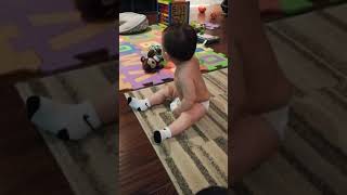 8 month old stimming  CMS Complex Motor Stereotypies [upl. by Egoreg]