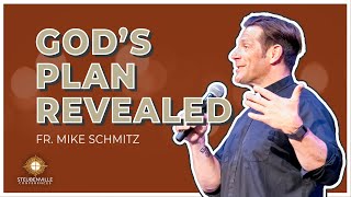 Fr Michael Schmitz  Gods Plan Revealed  Steubenville Youth Conference [upl. by Lemmie]