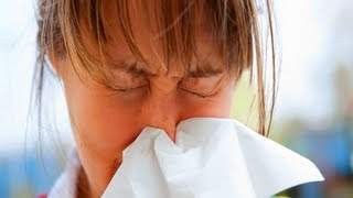 5 Most Common Allergy Symptoms Conditions AZ [upl. by Tammara]