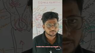 femalereproductivesystem virginity virginitytest lifezoology chseodisha viralshorts trending [upl. by Aicilav]