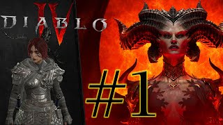 Diablo 4 Rogue Leveling Gameplay No Commentary [upl. by Ballard]