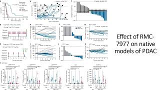 Effect of RMC7977 on native models of Pancreatic cancer PDAC Code 721 [upl. by Erreid]