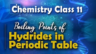 Boiling Points of Hydrides in Periodic Table  States of Matter  Chemistry Class 11 [upl. by Yentirb91]