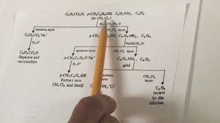 Organic Chemistry Lab Procedure on Extractions  DAT Destroyer [upl. by Eilliw]