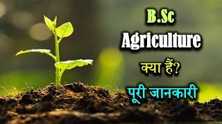 What is BSc Agriculture With Full Information – Hindi – Quick Support [upl. by Neit]