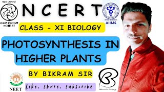 Photosynthesis in Higher Plants  Class XI  Biology  NCERT  Full Explanation  By Bikram Sir [upl. by Myrt]