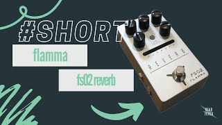 Flamma FS02 Reverb Unboxing and Demo ReelShort [upl. by Eitsirk]