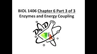 Chapter 6 part 3 of 3 Metabolism [upl. by Halsted]