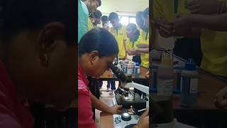 Mitosis stages in onion root tip  Cell Division practical class 11th cellacademy Wardha biology [upl. by Ordisy522]