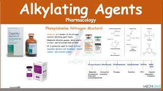 Alkylating Agents Pharmacology Examples MOA Adverse Effects [upl. by Atinahc]