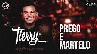 Tierry  Prego e Martelo [upl. by Eisnil]