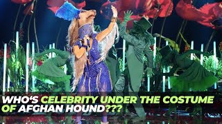 Who‘s the Celebrity Under the Costume of Afghan Hound [upl. by Souza]