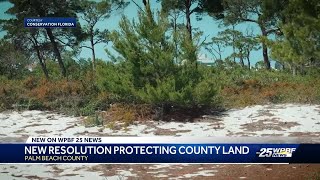 Conservation partnership aims to protect 31K acres of Palm Beach County land [upl. by Neitsabes]