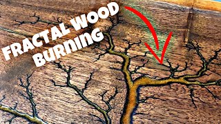 HOW I TURN 10 WOOD INTO 200 ART Fractal Wood Burning [upl. by Benedikta765]