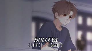 BULLEYA Slowed Reverb Romantic Lofi Song [upl. by Nabru]