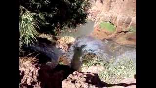 Largest waterfall in Morocco [upl. by Ylirama]