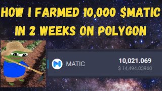 How I Yield Farmed 10000 MATIC in 2 Weeks on PolygonMatic [upl. by Ulu186]