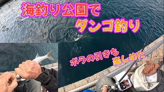 【釣り】 海釣り公園でダンゴ釣り 【ダンゴ釣り】 [upl. by Idarb]