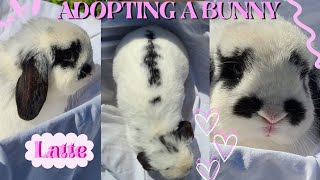 GETTING A BUNNY VLOG preparing for and bringing home my new rabbit 2023 meet Latte 💕🐇 [upl. by Sib790]