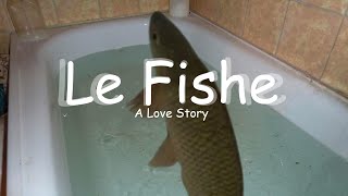 The Loving Story of Le Fishe [upl. by Neelrad]