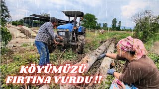 KÖYÜMÜZÜ FIRTINA VURDU KOCA SELVİ AĞACI DEVRİLDİ TEPESİNDE KUŞ YUVASI VARDI [upl. by Eeryt]