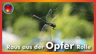 Depressionen überwinden Raus aus dem Opferbewusstsein [upl. by Nagaek748]