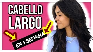 como hacer CRECER EL CABELLO rapido para mujeres en una SEMANA 😱😱😱 FUNCIONA [upl. by Reave535]