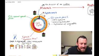 Cell Cycle Mitosis and Meiosis OCR A Level Biology 26 [upl. by Odnalor]