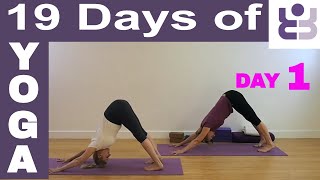 19 Days of Yoga  Day 1 Iyengar Yoga Sequence [upl. by Jueta103]