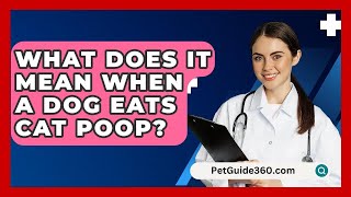 What Does It Mean When A Dog Eats Cat Poop  PetGuide360com [upl. by Jt898]