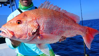 HUGE Red SNAPPER Fishing amp How to Catch BlackFin Tuna Epic Day Gulf of Mexico Fishing [upl. by Eimmit]