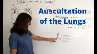 Auscultation of the Lungs [upl. by Akimas]