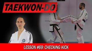 Checking Kick Cha Momchugi  TaekwonDo Lesson 69 [upl. by Waxman355]