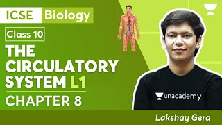 The Circulatory System  L1  Biology Class 10 Chapter 8  Class 10 ICSE  Lakshay Gera  Unacademy [upl. by Elmira]